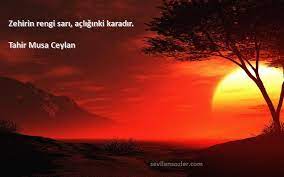 Sarıyla ilgili hayaller kurmam sadece seni sevmemdendir. Zehirin Rengi Sari Acliginki Karadir Tahir Musa Ceylan