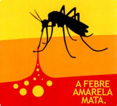 Resultado de imagem para mosquito da febre amarela