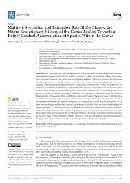 Image result for Lycium pilifolium