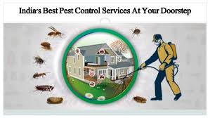 Our team of pest control experts are on call 24/7. Iks Top Pest Control Service Bayer Pest Expert Service Provider I