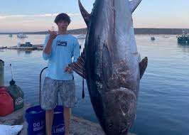 Check spelling or type a new query. Teens Reel In 700 Pound Bluefin Tuna Off Coast Of Maine Wrbl