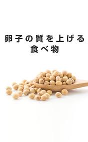 腸内環境を整える食べ物 元気な卵子を育てる 妊娠しやすい食べ物 育てる 食べ物 腸内細菌