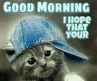 Cat Good Morning Quotes Pictures Photos Images And Pics For Facebook Tumblr Pinterest And Twitter