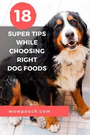 This is because of the nature of this disease in dogs, not if your vet feels it is a good idea to pursue a homemade diabetic dog food diet ask for some suggestions. Dog Diabetes Top Home Made Meals The 5 Best Diabetic Dog Treats 2020 Diabetic Dog Dog Spinach Sweet Potato And Other Vegetables Keep The Glucose Level In Check Decorados De Unas