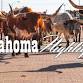 Oklahoma Highlights — Foretravel Motorcade Club event image