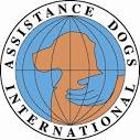 Support Dogs Jobs, vacancies.uk