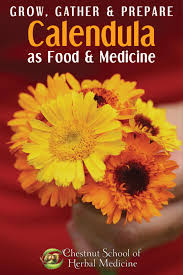 Check spelling or type a new query. Calendula An Edible Medicinal Flower How To Use Calendula