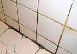 Would not recommend these for any type of wall in a shower or bath enclosure. How To Remove Mold From Grout Shower And Kitchen