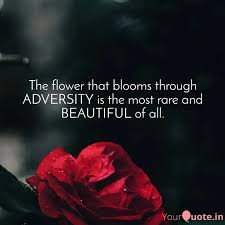 The flower that blooms in adversity | male! The Flower That Blooms Th Quotes Writings By Soft Soul Yourquote