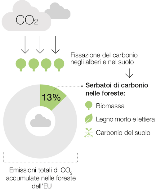 Il progetto &ndash; Life Climark