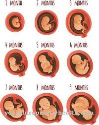 Membalikkan atau menampakkan wajah suami atau isteri kepada sebaliknya. Kecil Untuk Zaman Gestational Sga Punca Gejala Rawatan Penyakit