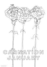 Download Hand Drawn January Carnation Birth Flower Background Coloring Page You Can Grab For Free Canary Jane