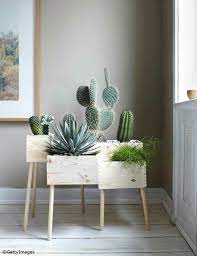 Interior Decorating With Cacti And Good Feng Shui Wooden Flower Boxes Decor Plant Decor