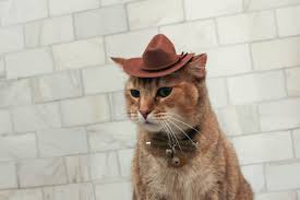 Cat, crying cat, cowboy cat, cowboy hat cat. Brown Cowboy Cat Hat Free Shipping Etsy Cat Hat Cat Accessories Cat Aesthetic