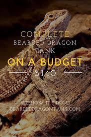 Complete Bearded Dragon Setup Bearded Dragon Bearded Dragon Terrarium Bearded Dragon Terrarium Diy