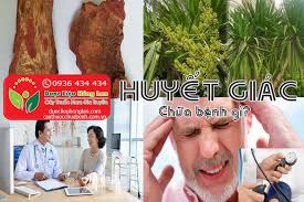 Huyết giác là gì?, Giá bán sỉ 90.000đ & lẻ? Địa chỉ bán?, Công dụng tác  dụng?, Cách dùng liều dùng?, Hình ảnh?