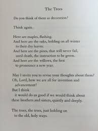 The Trees The Trees Just Holding On To The Old Holy Ways Mary Oliver Spoken Word Words Slam Poetry