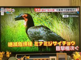 【制作陣】 原案・メインシナリオ・キャラクターデザイン：枢やな supported by square enix 開発・運営. 70zlq1w4st0d6m