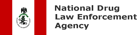 Chairman/chief executive of the ndlea, gen. Ndlea Home Facebook