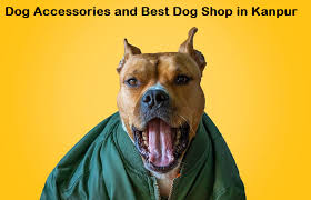 Visiting pet care clinic, buy online pickup in store, live fish, live small pets, live crickets, dog wash, deliver from store, autoship Kanpur List Of Pet Shops In Kanpur Upto 50 60 Discount