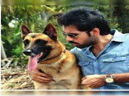 Tamil Bengaluru Dog Makes It Big In Kollywood Kannada Movie News Times Of India Sahadevan is the son of a police constable moolankuzhiyil prabhakaran who works in the dog squad and arjun is a trained police dog with a unique ability to. bengaluru dog makes it big in kollywood