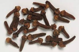 Image result for Syzygium komatiense