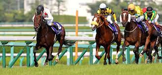 The site owner hides the web page description. å®å¡šè¨˜å¿µ2020ã‚³ãƒ¼ã‚¹è§£èª¬ é˜ªç¥žç«¶é¦¬å ´èŠ2200må†…å›žã‚Š ã¨æ­´å² 3é€£å˜6ç‚¹å‹è²  ç«¶é¦¬ã§å¤¢ã‚'å¶ãˆã‚‹ 3é€£å˜ç«¶é¦¬äºˆæƒ³ã«å½¹ç«‹ã¤æƒ…å ±ãŒæº€è¼‰ã§ã™