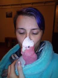 Got burnt by Jarred Taylor