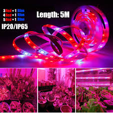 Prices and offers are subject to change. 5m 12v Full Spectrum Led Grow Light Strip Red Blue Growing Lamp Waterproof Ip65 Ip20 For Hydroponics Flowers Plants Shopee Philippines