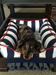 see what i ve designed at j adore custom pet beds custom pet bed pet beds dog bed