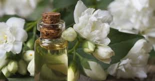 Research conducted into the effects of jasmine oil has found that it jasmine oil can lock in moisture, hydrate dry hair, and tame frizz. The Benefits Of Jasmine Oil For Hair Skin Naturallycurly Com