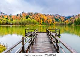Check spelling or type a new query. Borcka Karagol Black Lake Artvin Province Stock Photo Edit Now 1353392585