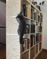Ikea Kallax Hack For Cats Meow Lifestyle In 2020 Cat Climbing Wall Kallax Ikea Ikea Kallax Hack