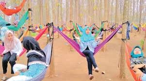 Check spelling or type a new query. Tempat Wisata Hutan Jati Tangerang Area Wisata Asia