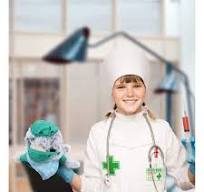 DolliBu Sea Lion Doctor Plush Toy with Cute Scrub Uniform ...