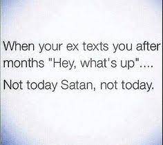 Is your ex boyfriend ignoring you? 15 Ex Jokes Ideas Funny Quotes Quotes Ex Quotes