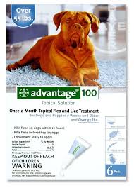 Bayer Topical Flea Treatment For Dogs Over 55 Lbs 6 Applications Review Http Www Bestflea Flea Control For Dogs Flea Medicine For Dogs Kill Fleas On Dogs