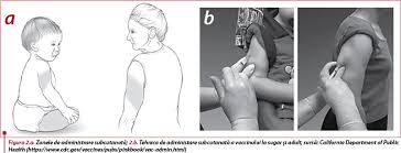 Tehnica Administrării Vaccinurilor