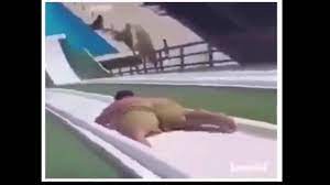 Try not to laugh while watching funny videos of people falling, this is a funny video compilation of many of the world. Pin On Versatile Peoples Vblog