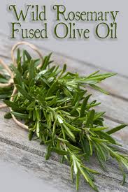 Wild Rosemary Fused Olive Oil Infused Olive Oil Olive Rosemary