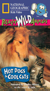We did not find results for: Really Wild Animals Hot Dogs And Cool Cats Tv Episode 1996 Photo Gallery Imdb