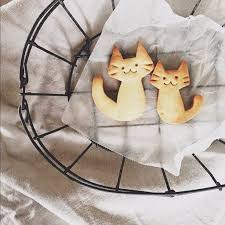 Biscuit Chat Quel Pique Nique Pour Les Enfants Elle A Table Biscuits Pour Chat Pique Nique Gateau Chat