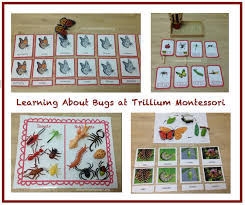 They want to know how things work and why things happen. 25 Kid Friendly Insect Activities And Printables Mama S Happy Hive