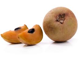 Image result for Manilkara zapota