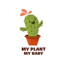 How long does it take for mealybugs to infest a cactus? My Plant My Baby Youtube