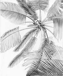 On this page, you can find and download free coconut tree vectors for your design flashlight. Palm Tree Coloring Pages Az Coloring Pages Palm Tree Drawing Palm Tree Sketch Palm Trees Painting