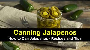 Canning Jalapenos How To Can Jalapenos Recipes And Tips