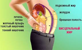 Pochemu U Zhenshin Zhir Nakaplivaetsya Na Bedrah I Nogah A U Muzhchin V Bryuhe Headinsider
