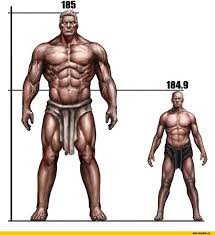 Somewhat Accurate 41st Millennium Human Height Chart 9gag
