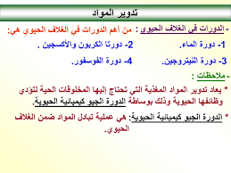 Ppt علم البيئة Powerpoint Presentation Free Download Id 7006559
